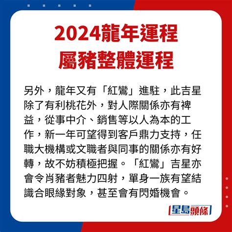 2024 豬年運程|麥玲玲2024龍年運程｜屬狗、豬、鼠運勢逐個